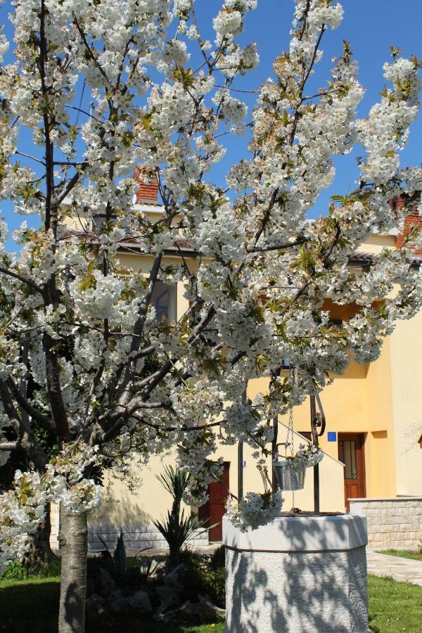 Apartment Dekovic Poreč Buitenkant foto